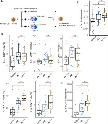 IL-33-primed human mast cells drive IL-9 production by CD4+ effector T cells in an OX40L-dependent manner